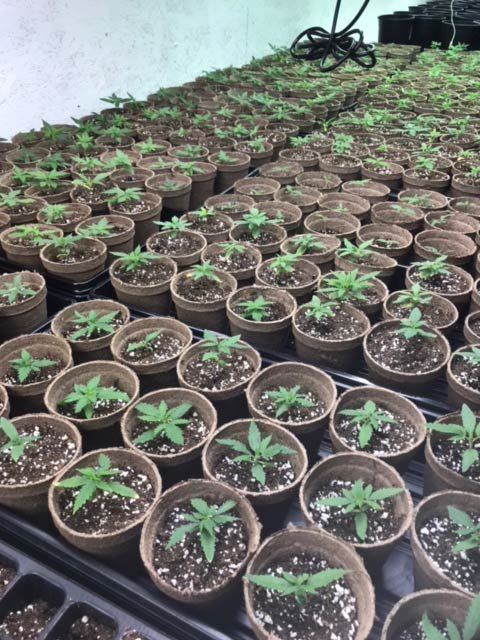 IMG_8641